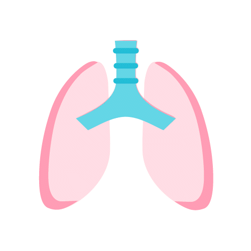 Lungs