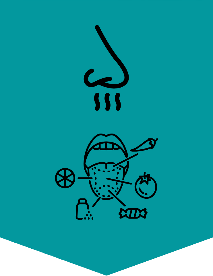 decorative image