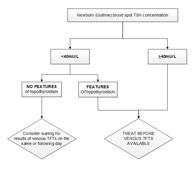 Clinician treatment decision tree in management of congenital hypothyroidism