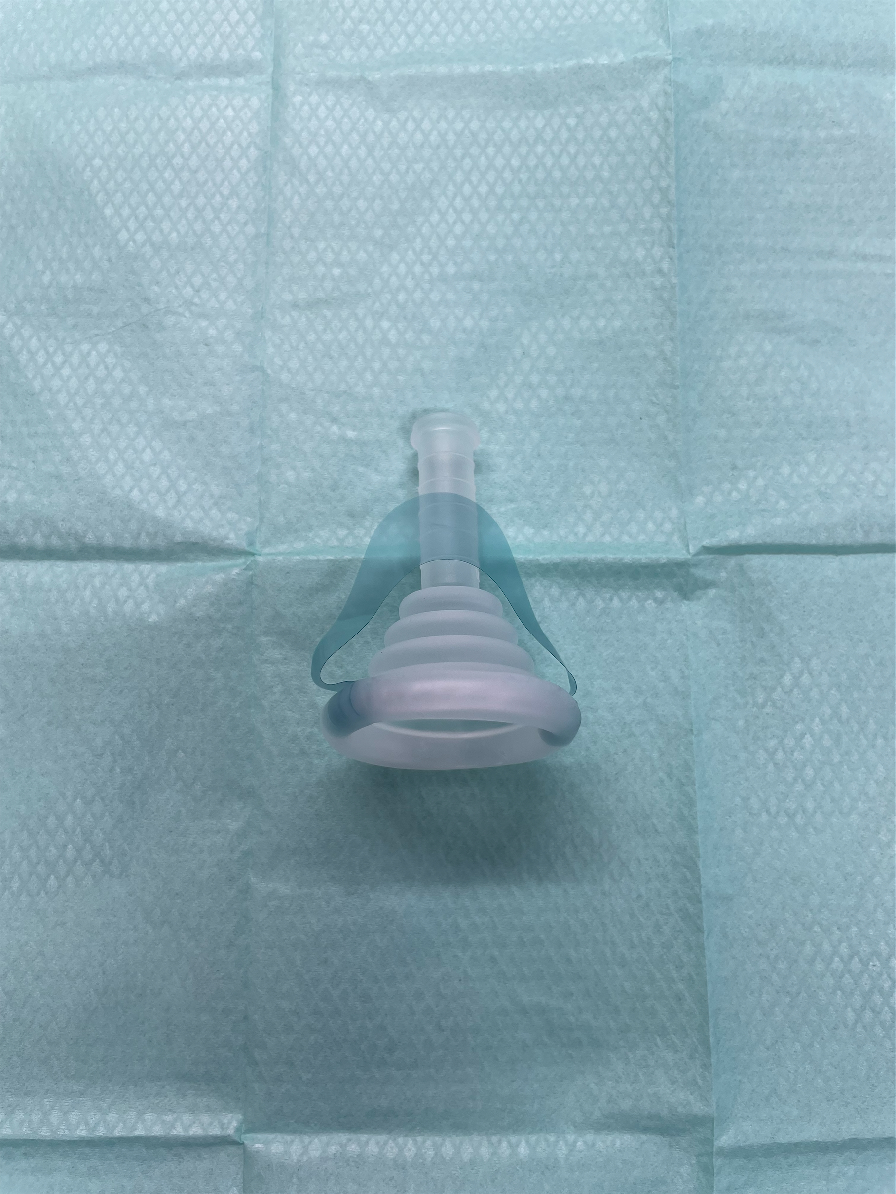 Sheath prior to use
